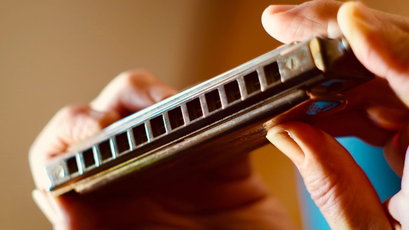 So sánh sáo điện tử vs harmonica - nên chọn nhạc cụ nào? 8 Harmonica thường thắng rõ ở tính di động