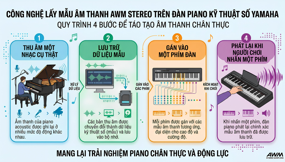 Công nghệ AWM Stereo Sampling là gì? Cách Yamaha tái tạo âm thanh trên piano điện và organ 2 Quy trình 4 bước từ thu âm nhạc cụ thật đến tái tạo âm thanh trên phím đàn Yamaha